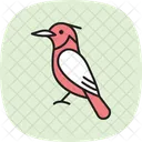 Kingfisher Bird Fishing Icon