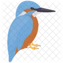 Kingfisher Kookaburra Bird Laughing Icon