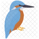 Kingfisher  Icon