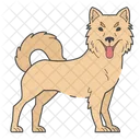 Kintamani Dog Puppy Icon