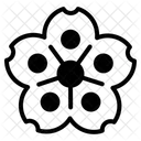 Kirschblüte  Symbol