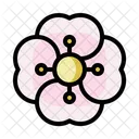 Kirschblüte  Symbol