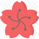 Kirschblüte  Symbol