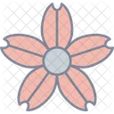 Kirschblüte  Symbol