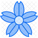 Kirschblüte  Symbol