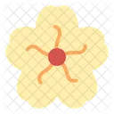 Kirschblüte  Symbol