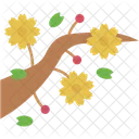 Kirschblüten-Fest  Symbol