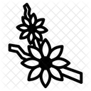 Kirschblütenzweig  Symbol