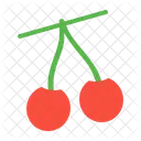 Kirsche Obst Fruhling Symbol