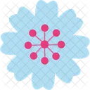 Kirsche Japan Blume  Symbol