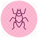 Kissing Insect Bug Icon