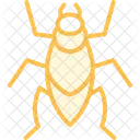 Kissing Insect Bug Icon