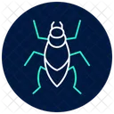 Kissing Insect Bug Icon