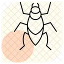Kissing Insect Bug Icon