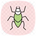 Kissing Insect Bug Icon