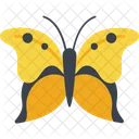 Kite Butterfly  Icon