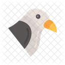 Kite  Icon