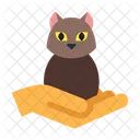 Kitten  Icon