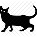 Kitten Pet Domestic Animal Icon