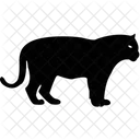 Kitten Pet Domestic Animal Icon