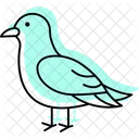 Kittiwake Bird Sea Icon