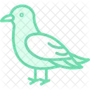 Kittiwake Bird Sea Icon