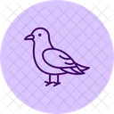 Kittiwake Bird Sea Icon