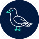 Kittiwake Bird Sea Icon