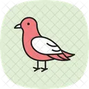 Kittiwake Bird Sea Icon