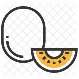 Kivi Icon