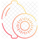 Kivi Fruit Healthy Icon