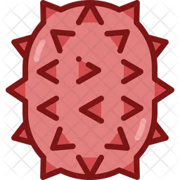 Kiwano  Icon