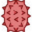 Kiwano  Icon