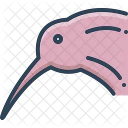 Kiwi  Icon