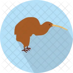 Kiwi  Symbol