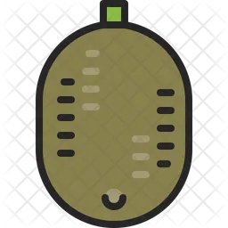 Kiwi  Icon