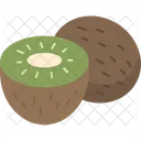 Kiwi Fuzzy Fruit Icon