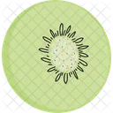 Summer Kiwi Fruit Icon