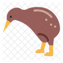 Kiwi Bird  Icon