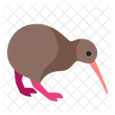 Kiwi Bird Animal Bird Icon