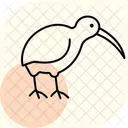 Kiwi Bird Newzealand Icon