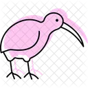Kiwi Bird Newzealand Icon