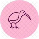 Kiwi Bird Newzealand Icon