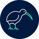 Kiwi Bird Newzealand Icon