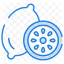 Kiwi Fruit Food Icon