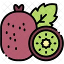 Kiwi Fruit Healthy Food Icon