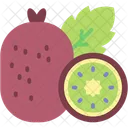 Kiwi Fruit Healthy Food Icon