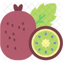 Kiwi  Icon