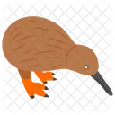 Kiwi-Vogel  Symbol
