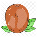 Kiwifruit Food Fruit Icon